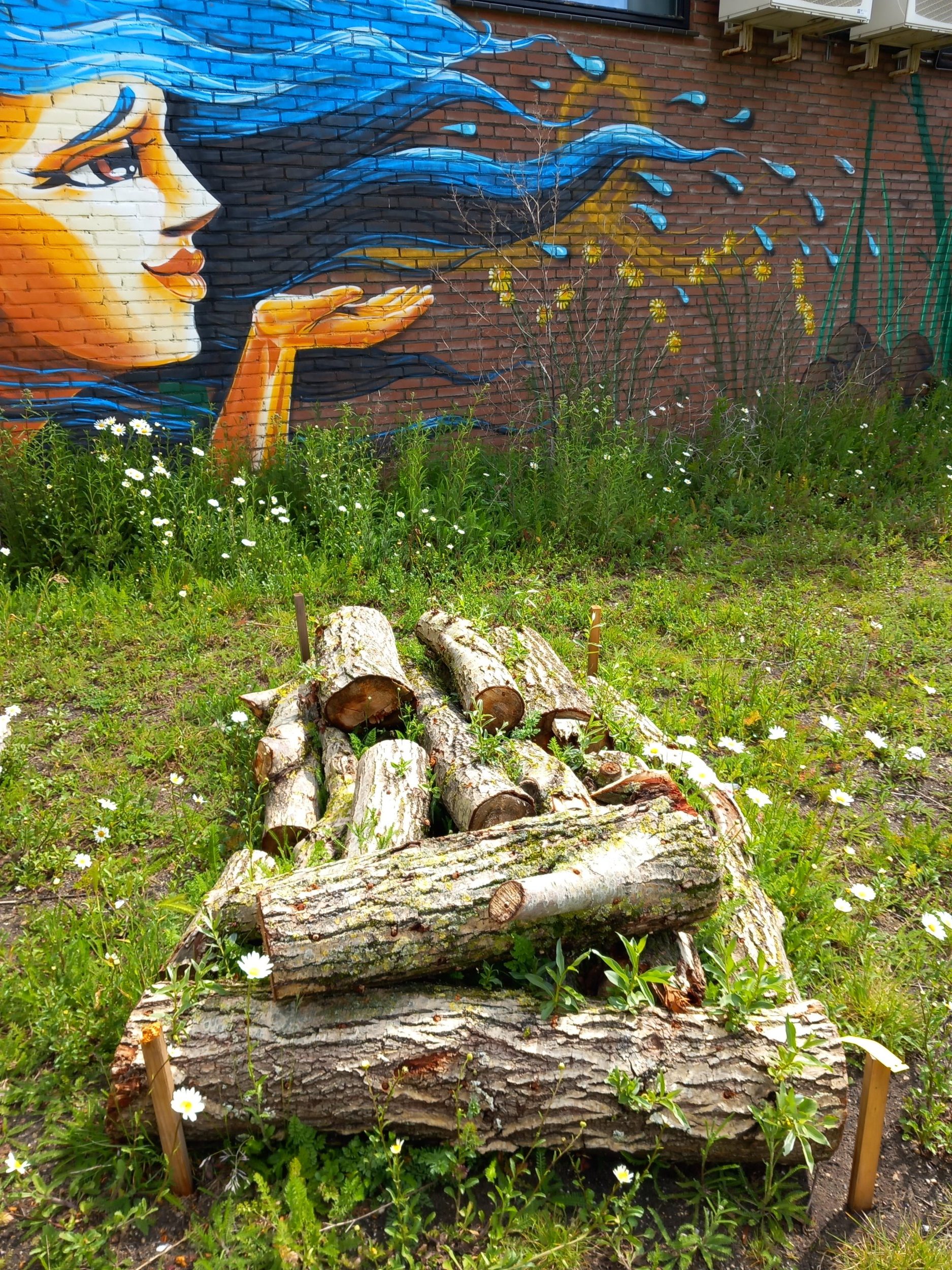 Fungi & Soil Festival - Lunchwandeling - Afbeelding 2